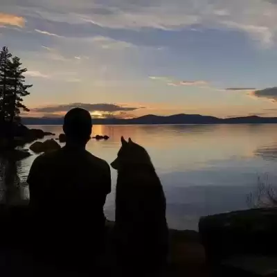 蒙宛海